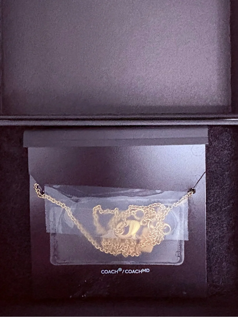 Coach logo necklace